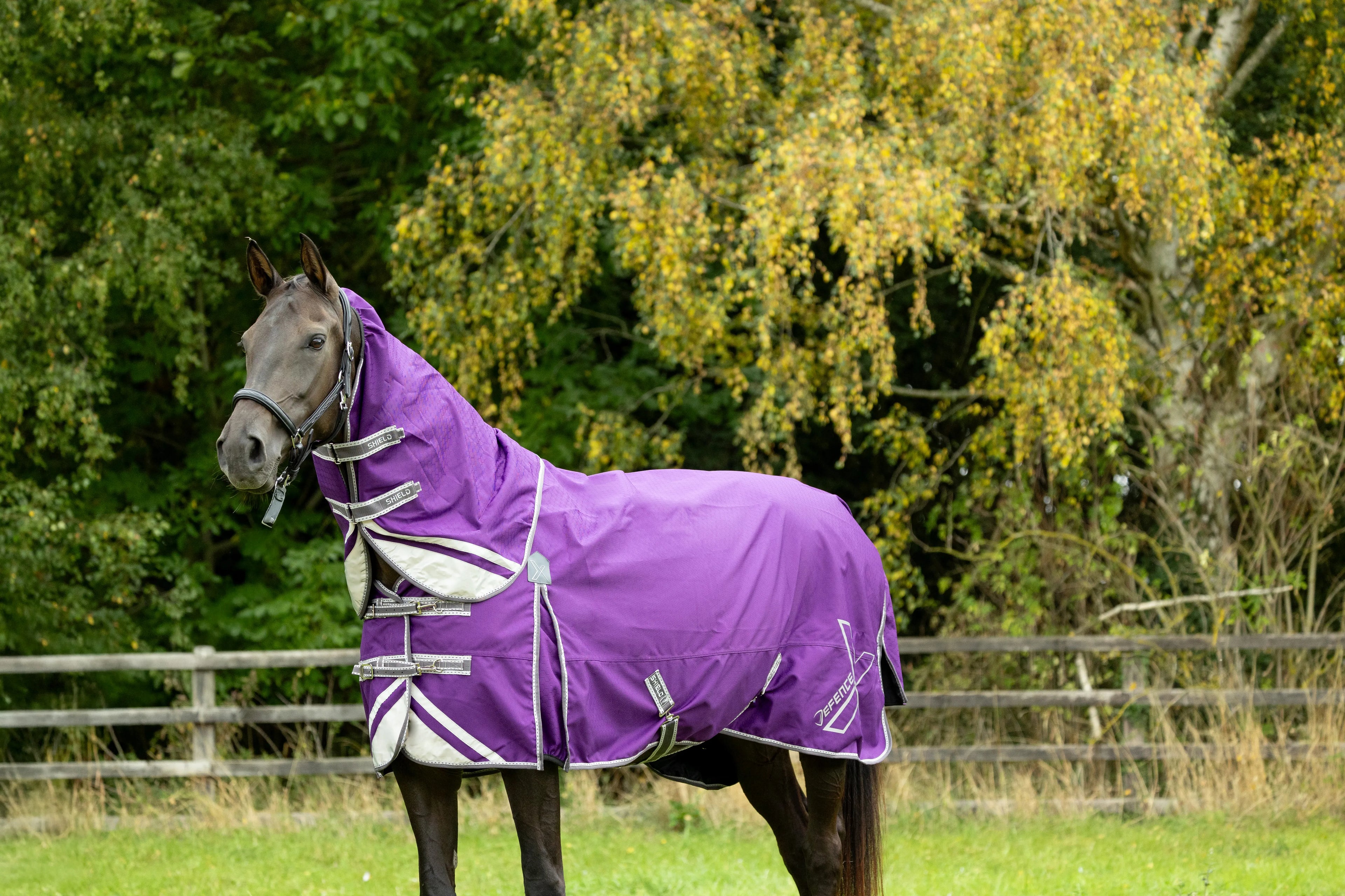 DefenceX Shield 100g turnout rug with detachable neck