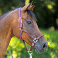 USG Dublin headcollar
