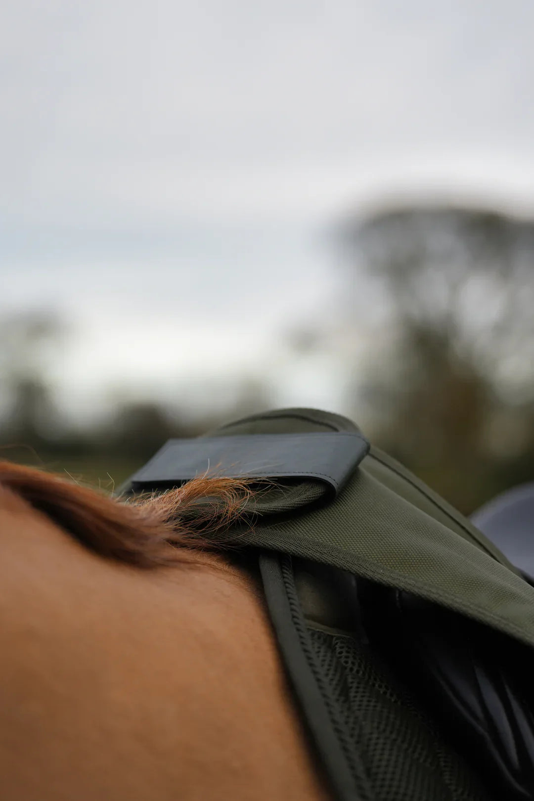 Hunter green waterproof exercise sheet rug
