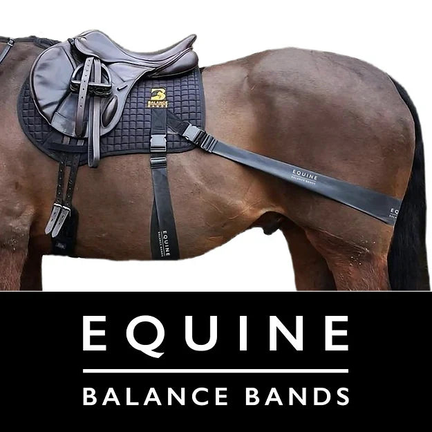 Equine Balance Bands Sport saddle pad system for GP and jump saddles - complete kit with bands
