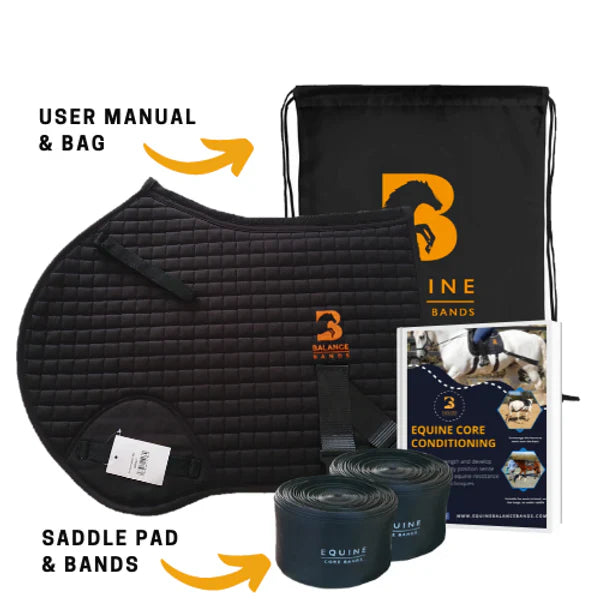 Horse wearing Equine Balance Bands Sport system - abdominal and hind quarters bands in use