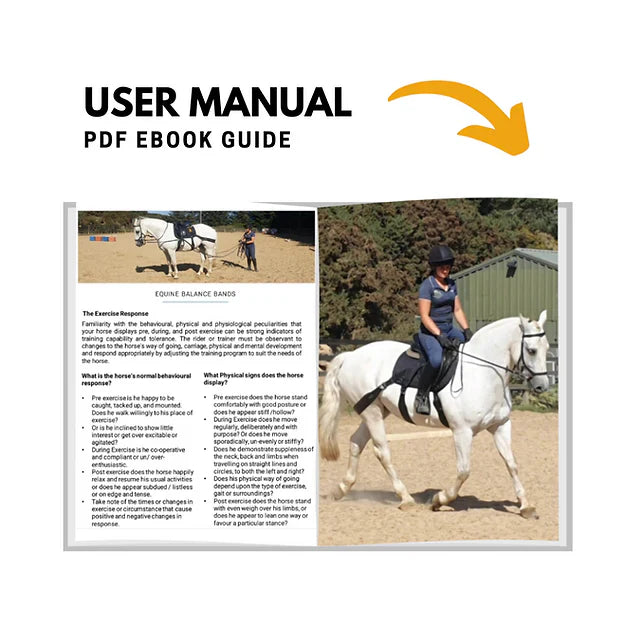 photo and description of Equine balance band system user manual