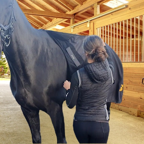 Magnetic horse rug