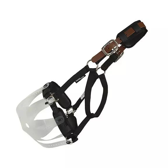 ThinLine Breakaway field safe headcollar
