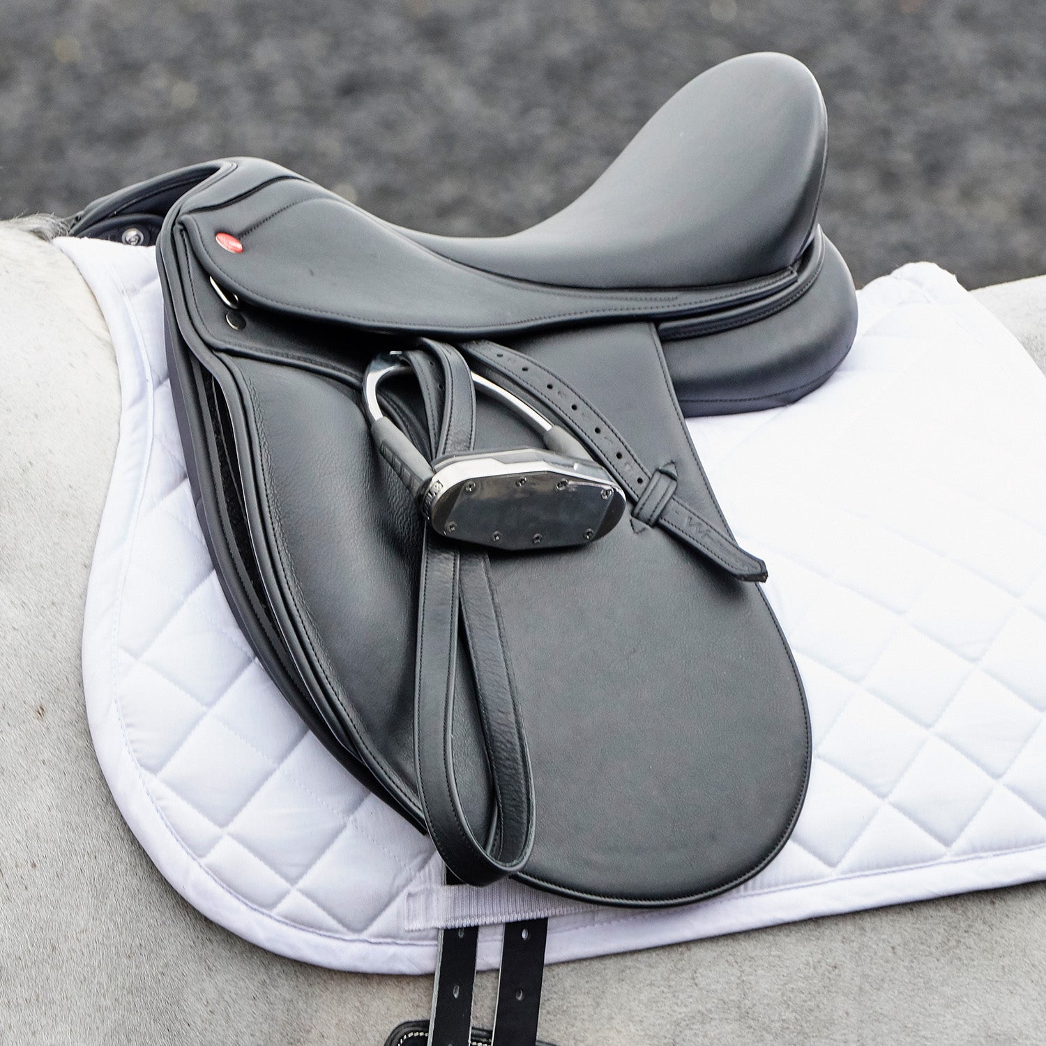 Whitaker Harrogate dressage saddle