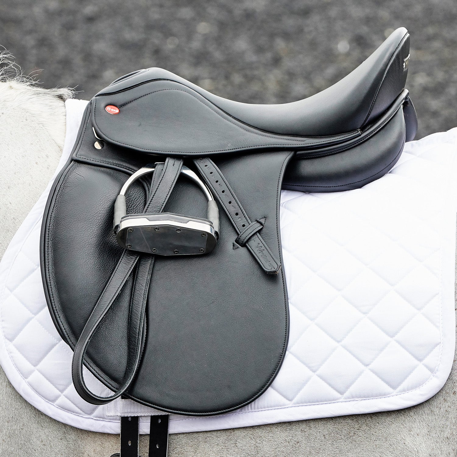 Whitaker Harrogate dressage saddle