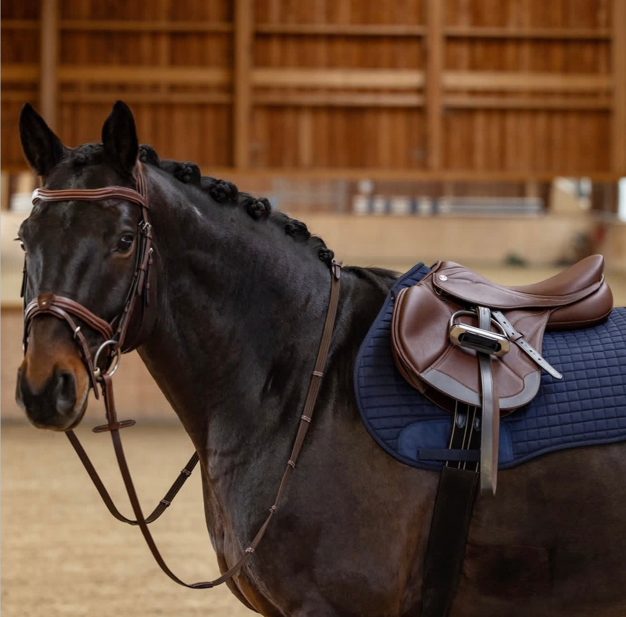 Kieffer Jump Saddle - Palmanova