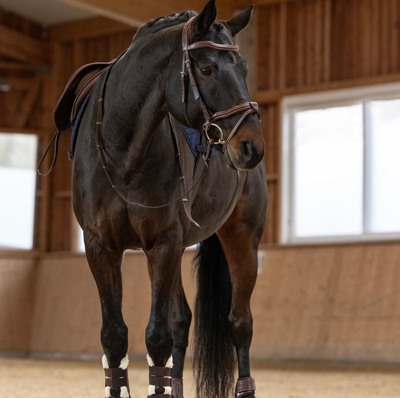 Kieffer Palmanova snaffle bridle