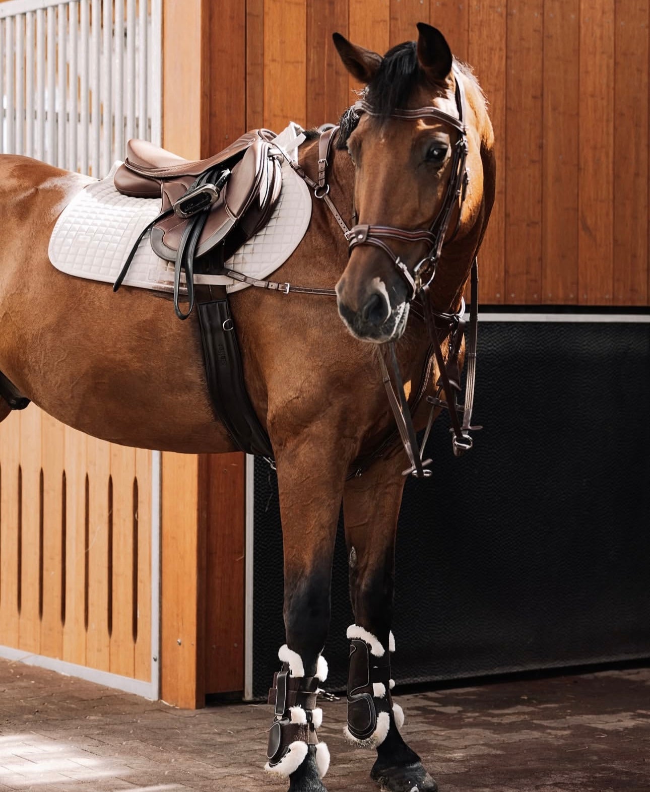 Kieffer Jump Saddle - Palmanova