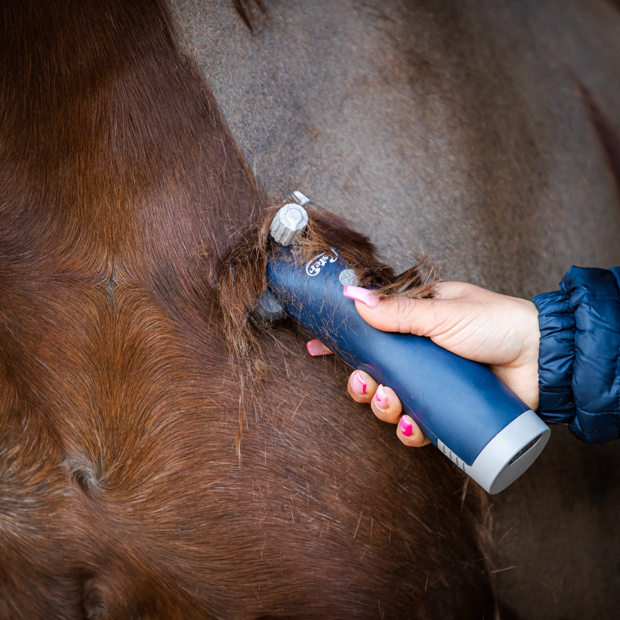 Lister Eclipse cordless clipper in action - supreme agility with no cord hassle