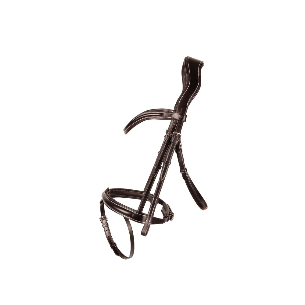Brown bridle on a white background