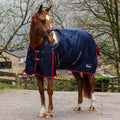 Whitaker Rastrick V2 100g turnout rug