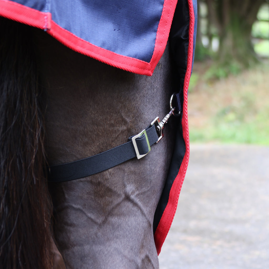 Whitaker rastrick 0g fixed neck turnout rug