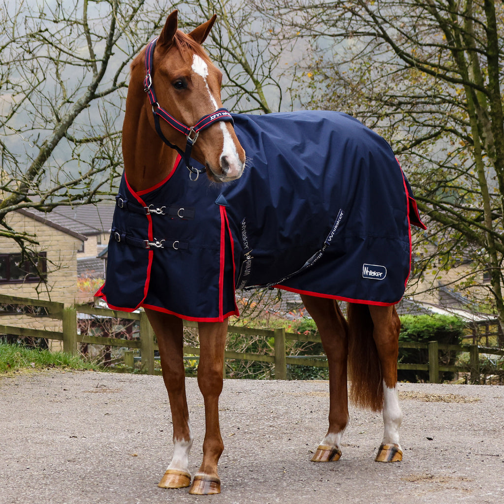 Whitaker rastrick 50g turnout rug