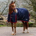 Whitaker rastrick 50g turnout rug