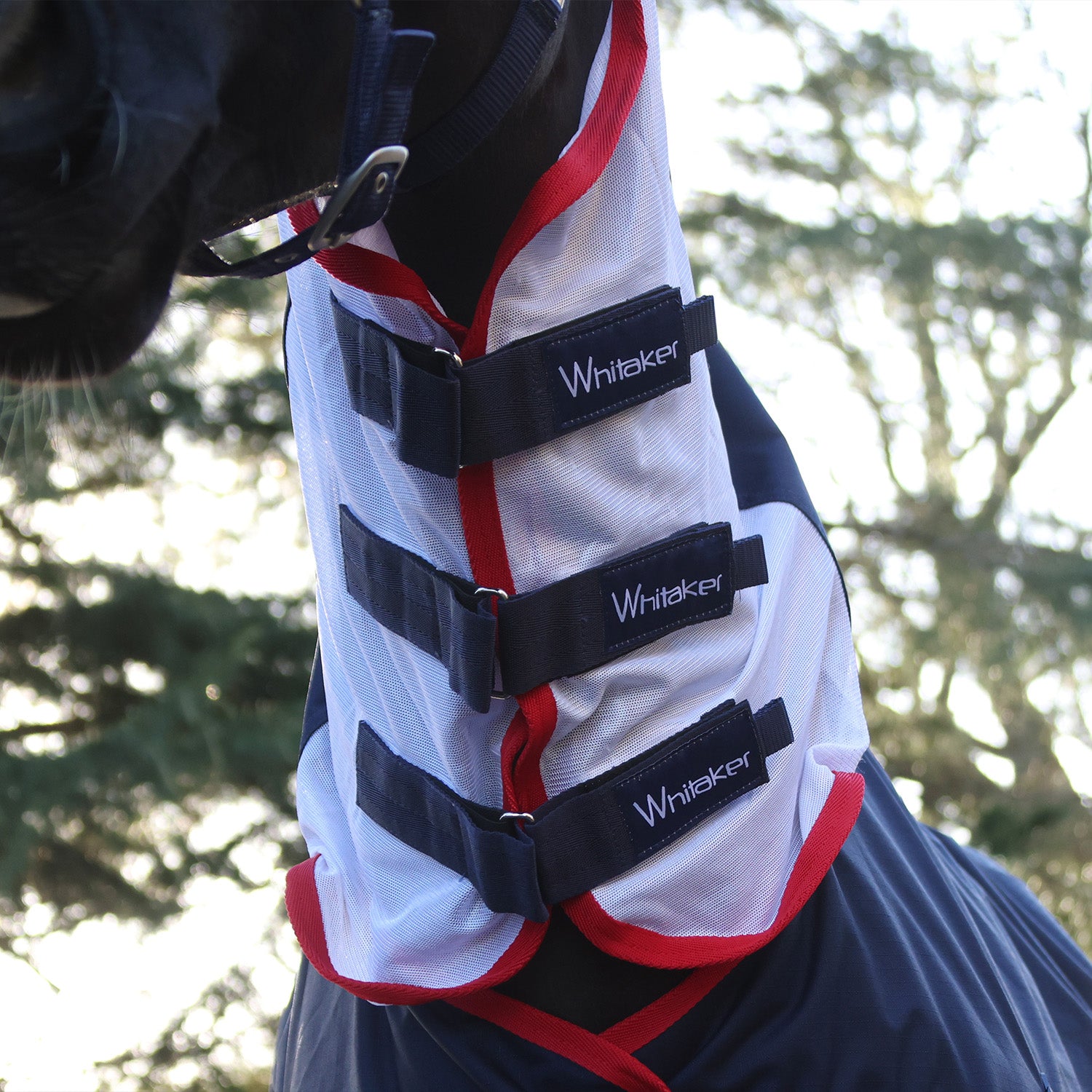 Whitaker rastrick V2 airflo turnout rug