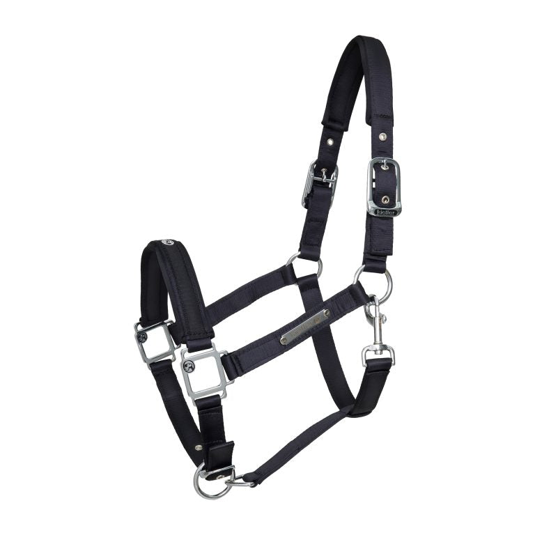 Kieffer Satin shine headcollar