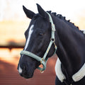 Kieffer Satin shine headcollar