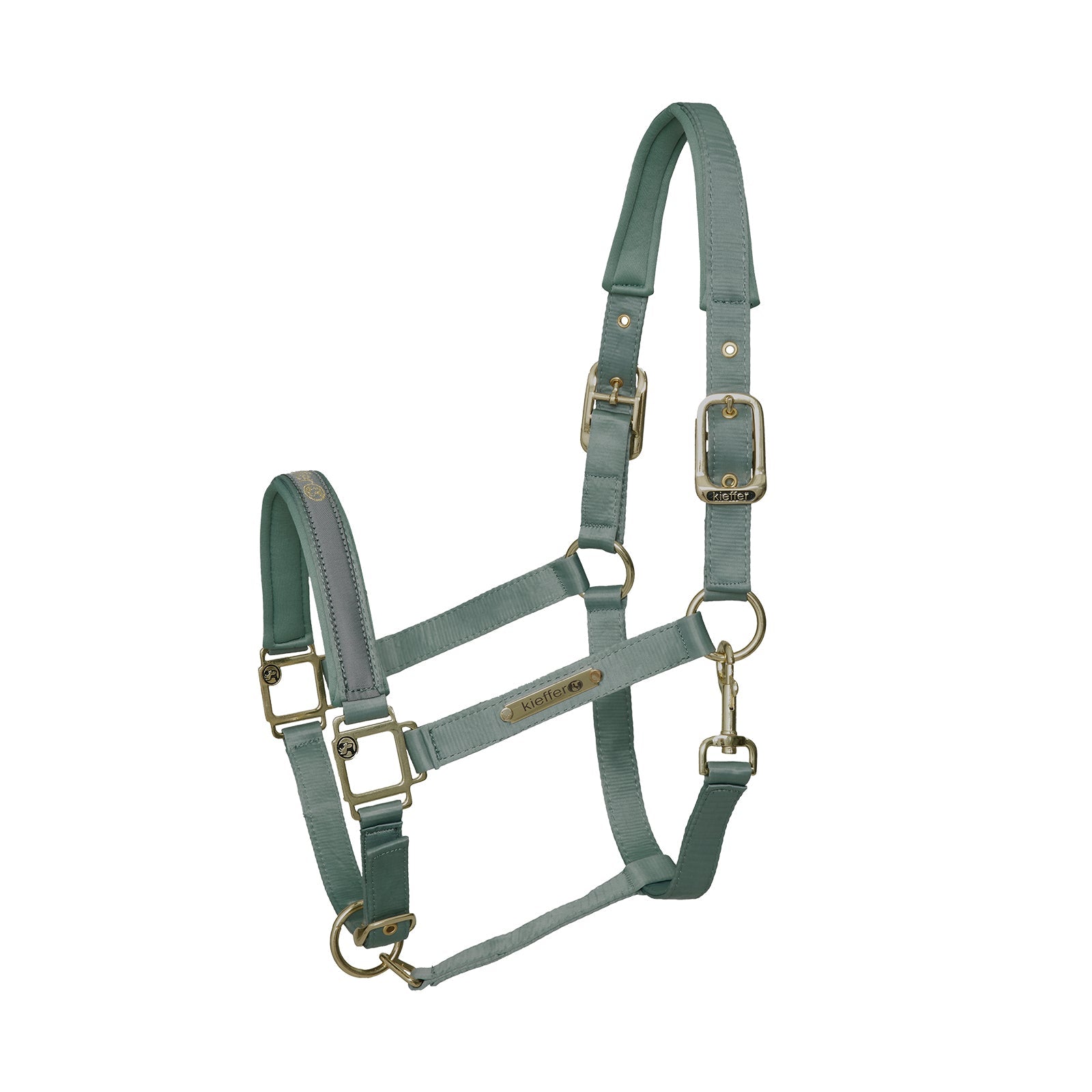 Kieffer Satin shine headcollar