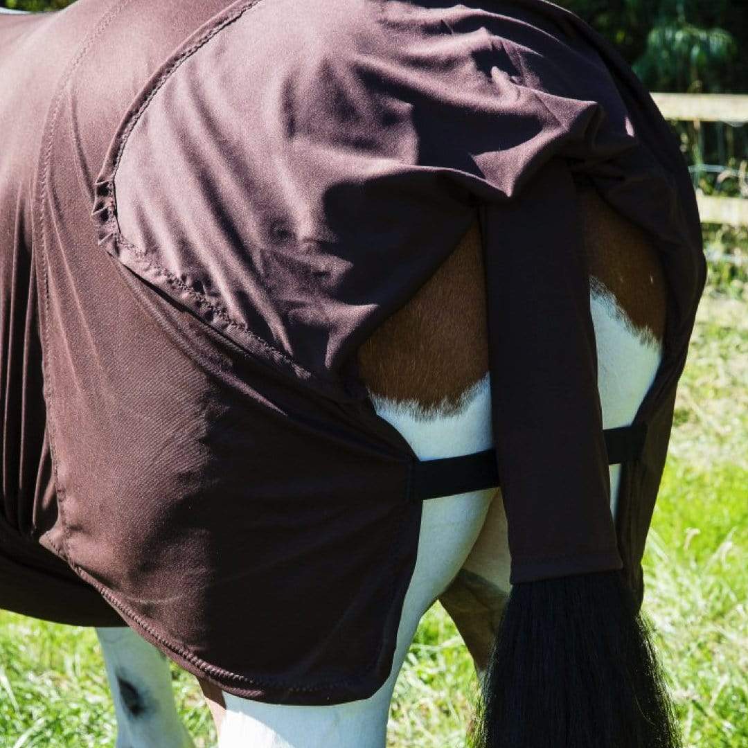 Snuggy Hoods sweet itch rug