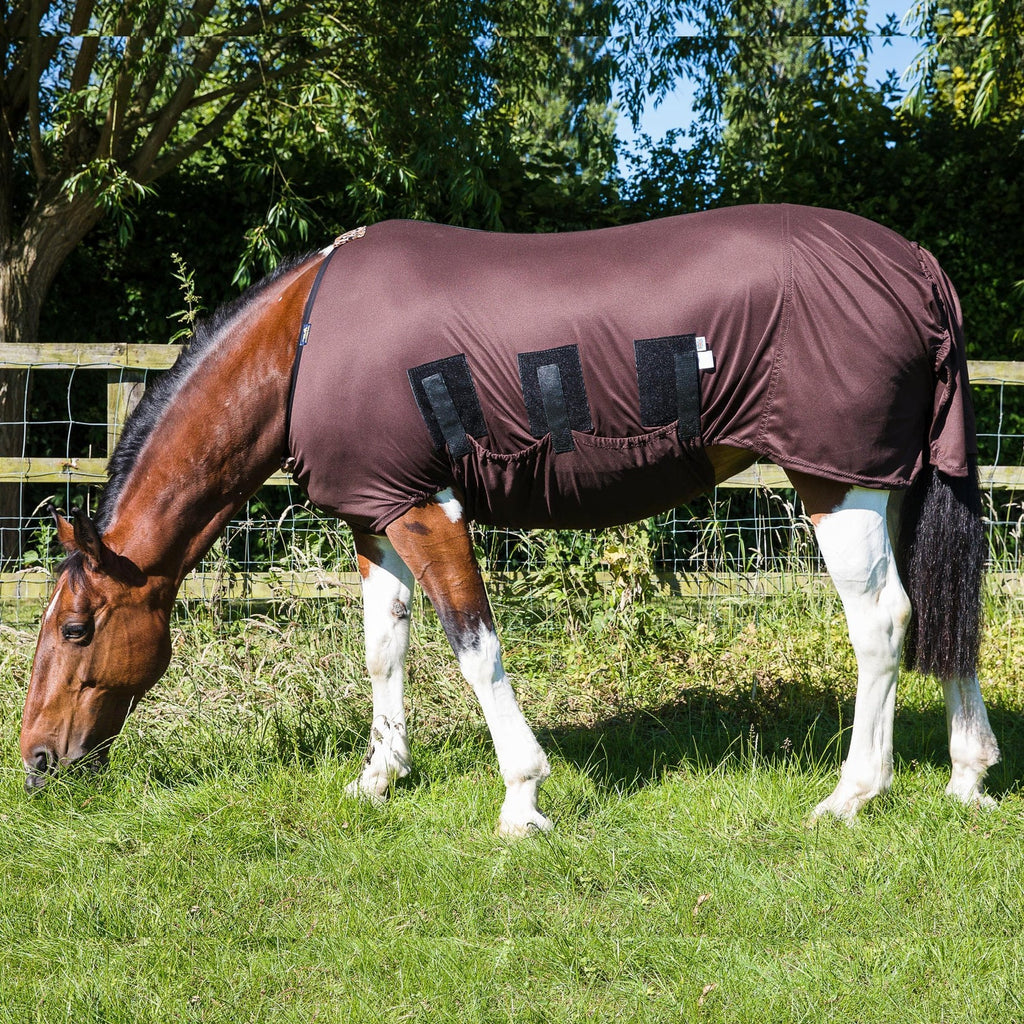 Snuggy Hoods sweet itch rug
