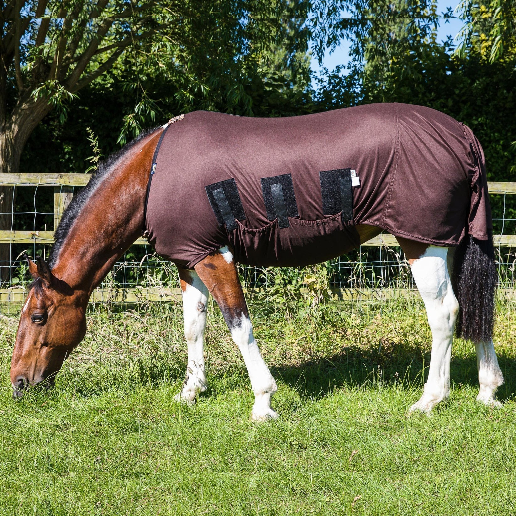Snuggy Hoods sweet itch rug
