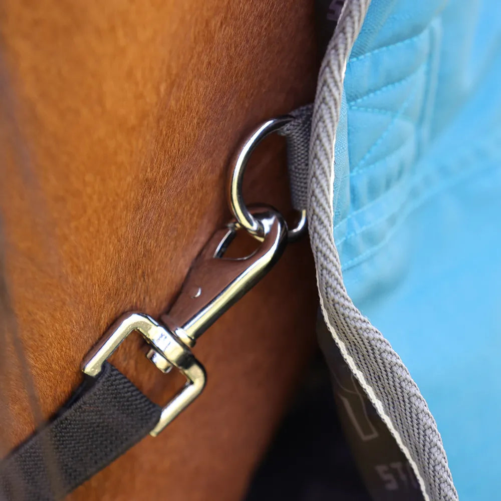 StormX empra 50 combi turnout rug