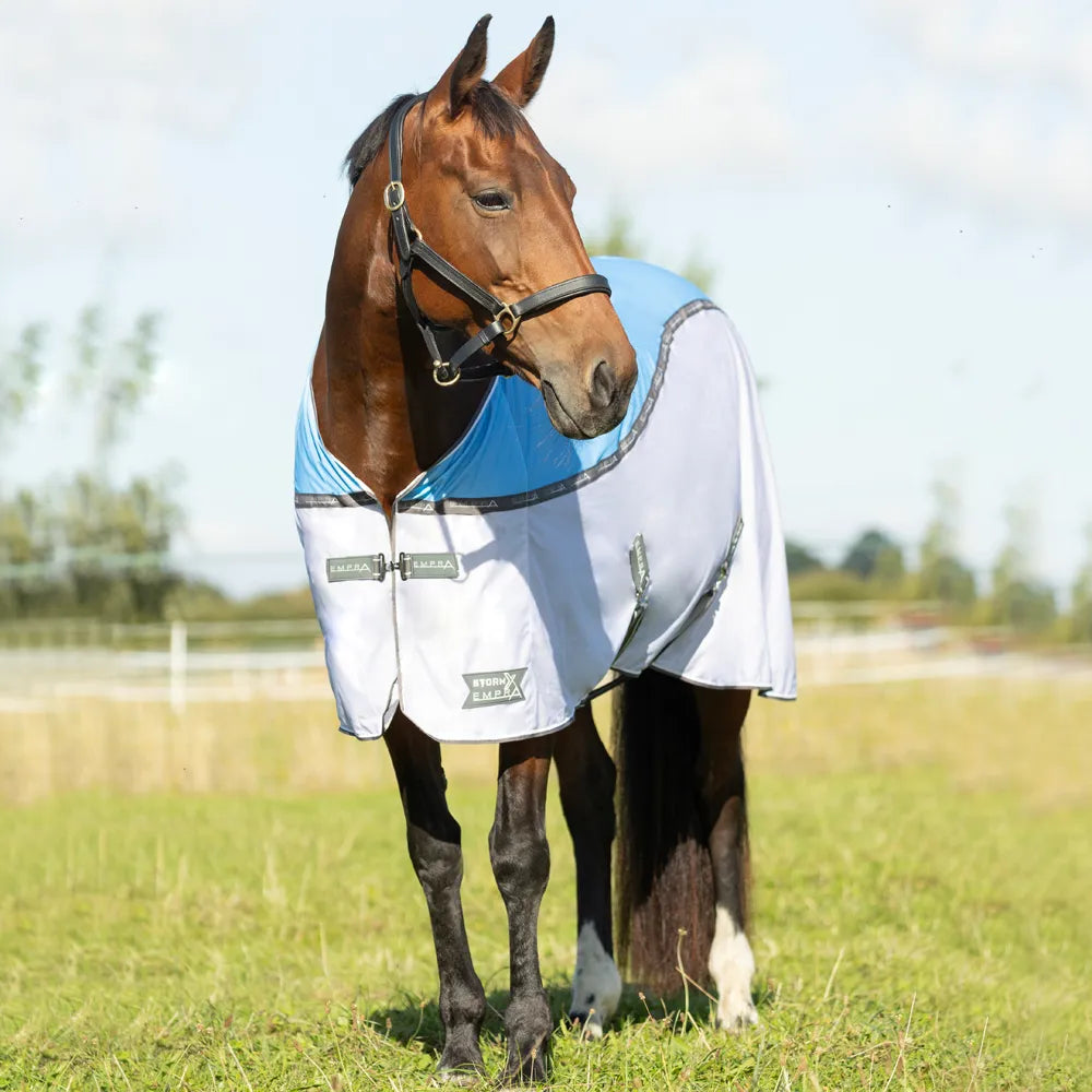 Horse wearing a blue and white blanket in an outdoor setting