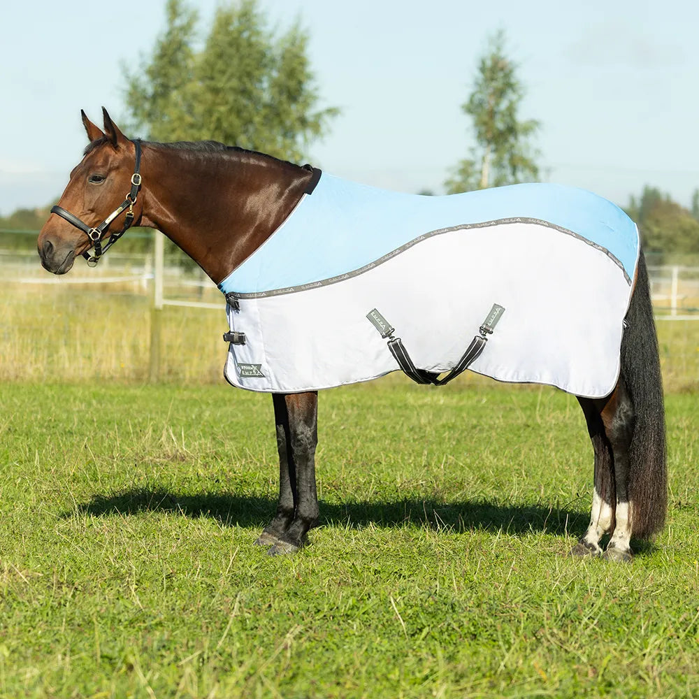 Horse wearing a light blue and white rug in a grassy field