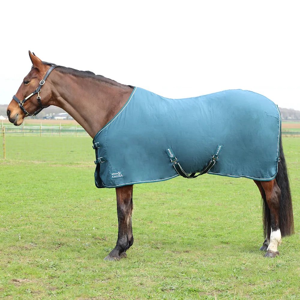 Teal StormX Empra pima cotton sheet on a bay horse in the field