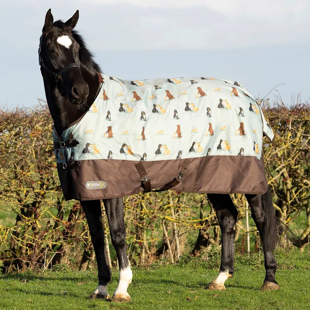 StormX original It's a dogs life turnout rug