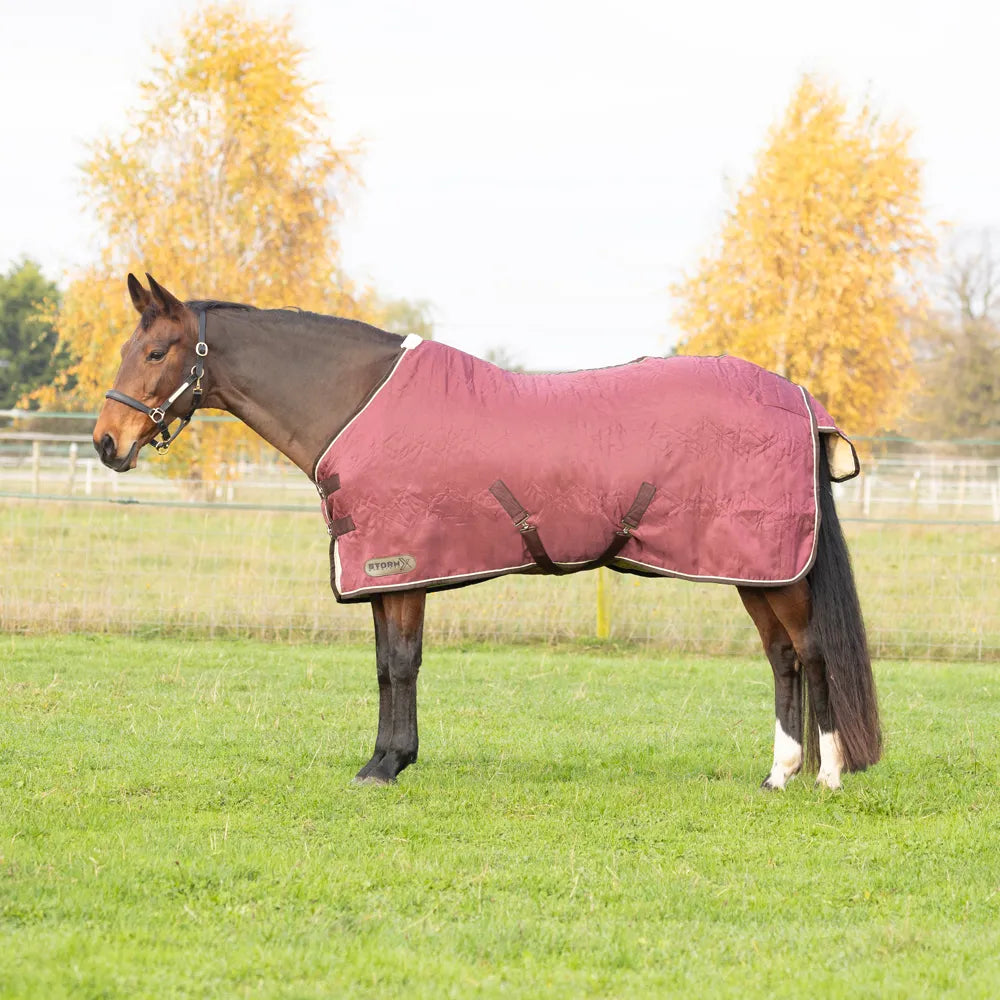 Storm X original luxury show rug
