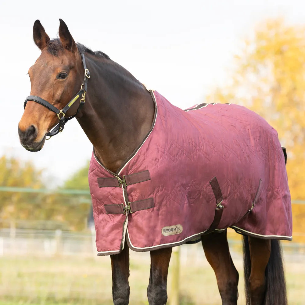 Storm X original luxury show rug