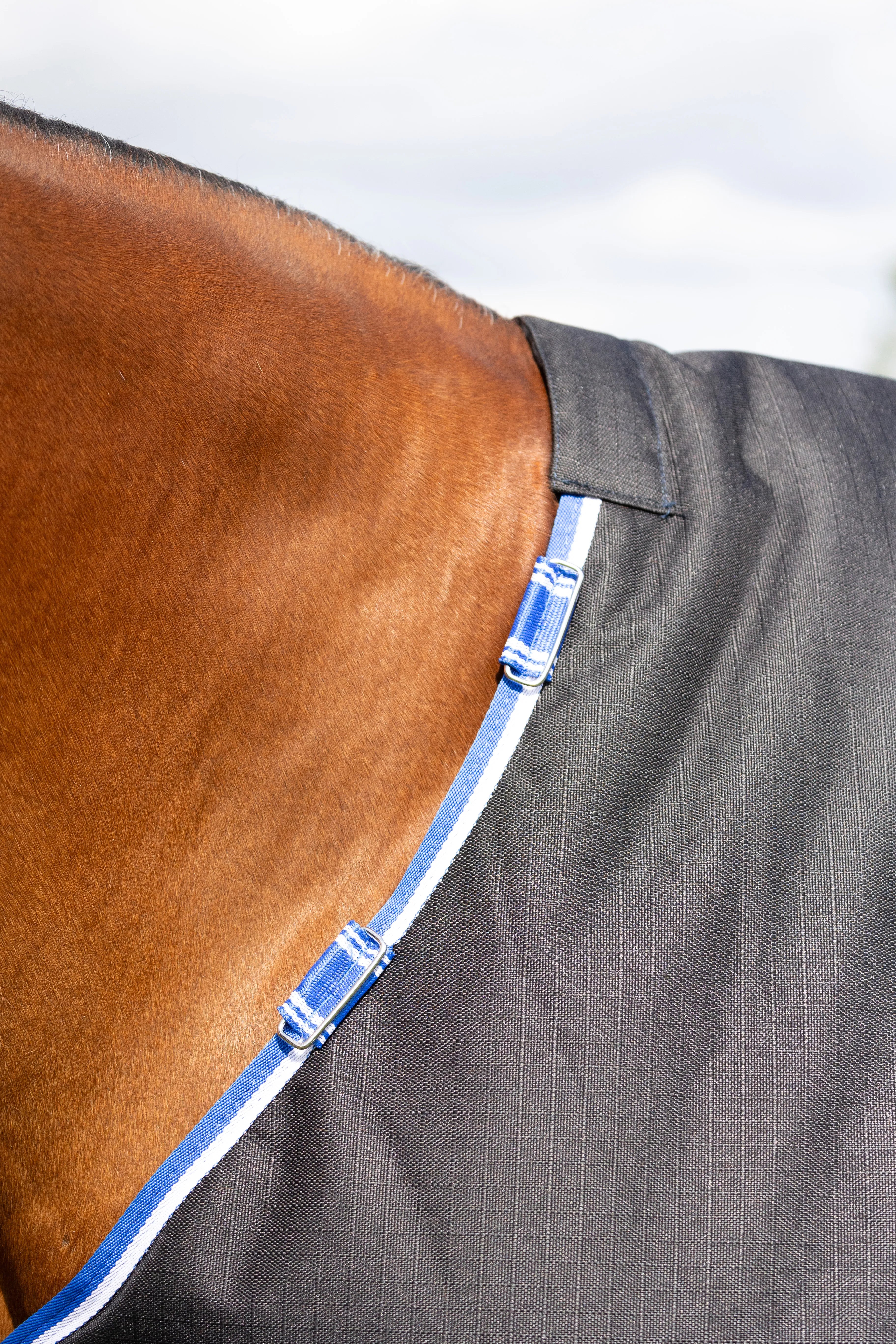 StormX empra extra 200g turnout rug - detachable neck