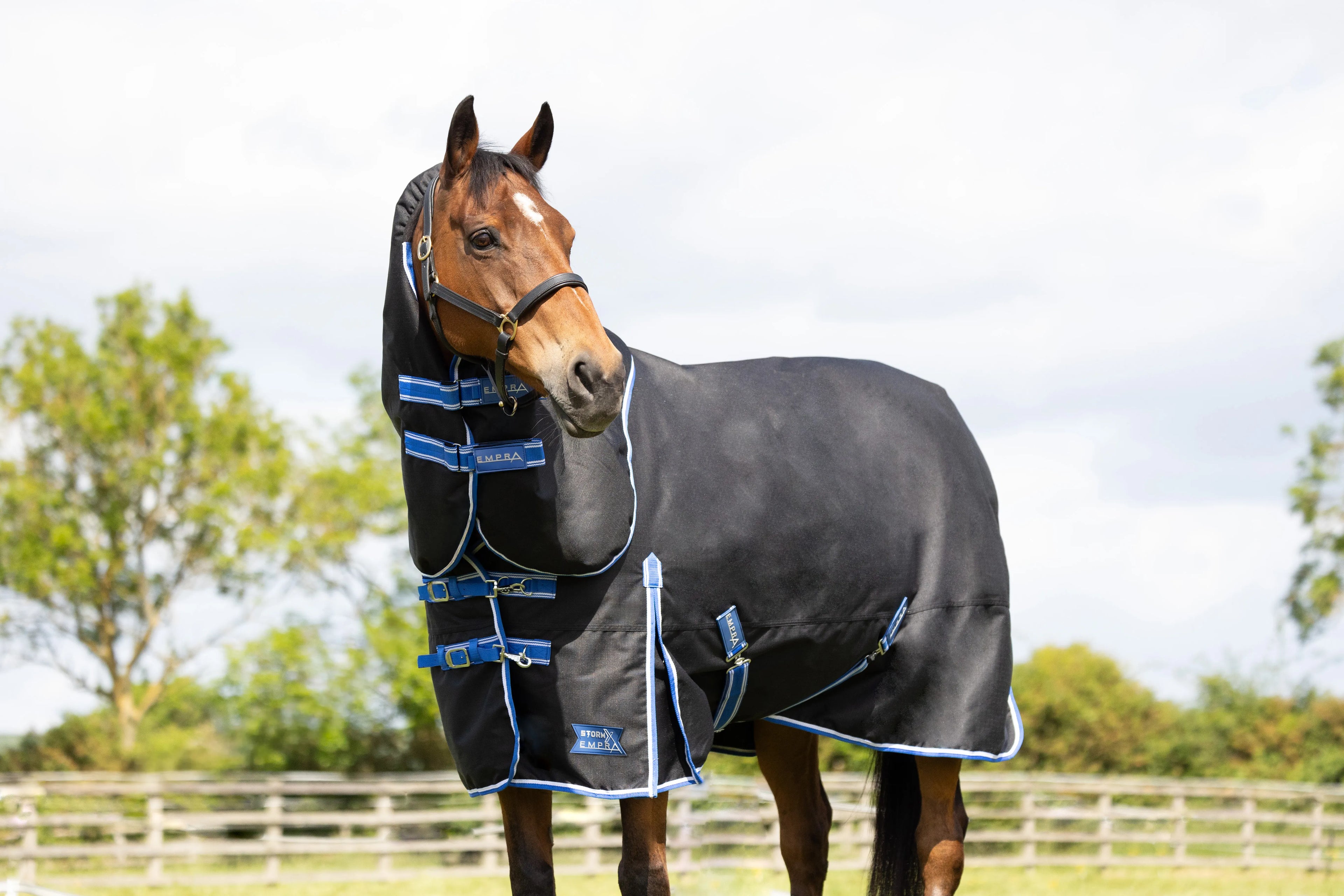 StormX empra extra 200g turnout rug - detachable neck