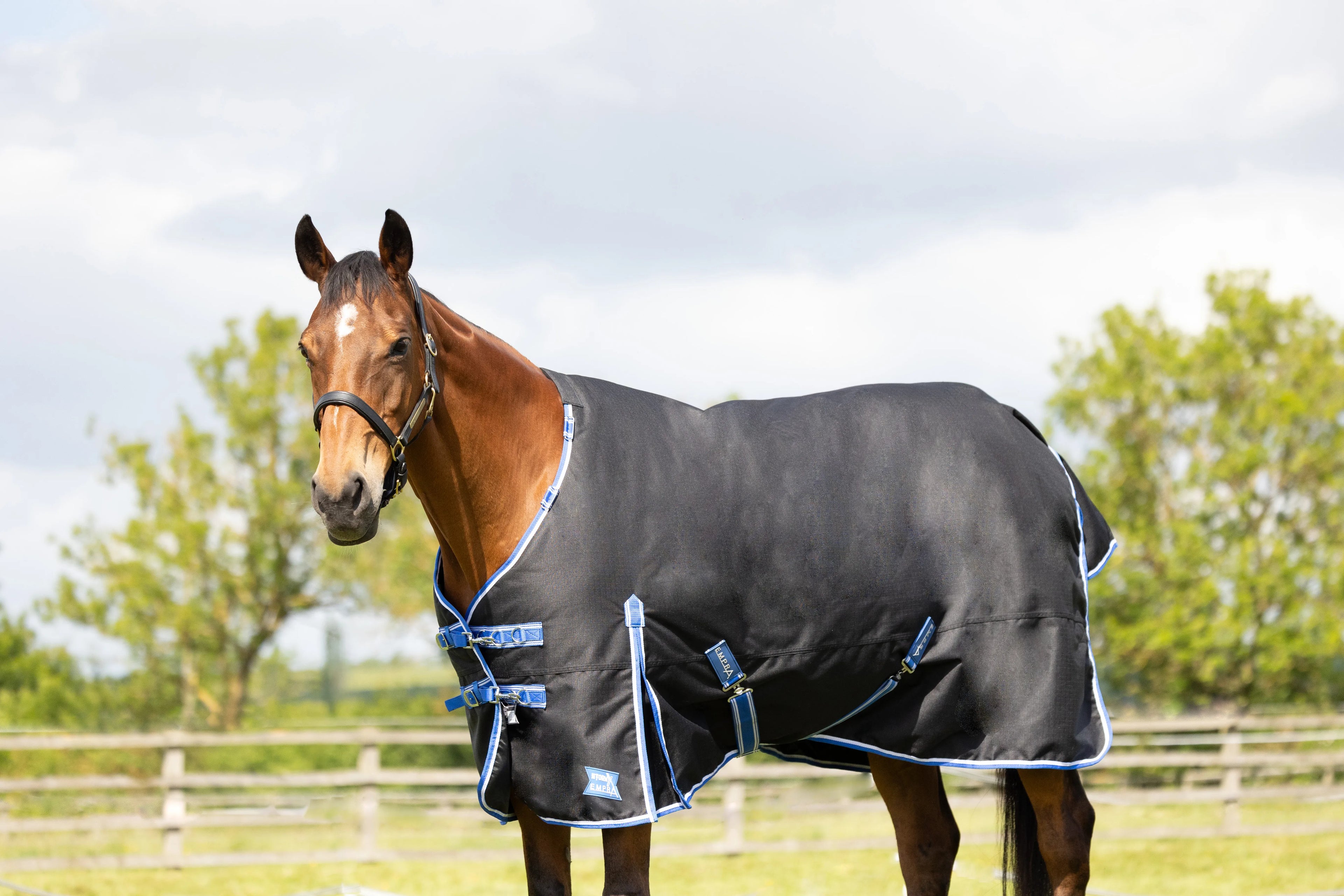 StormX empra extra 200g turnout rug - detachable neck