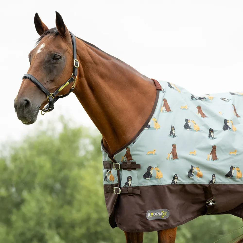StormX original It's a dogs life turnout rug