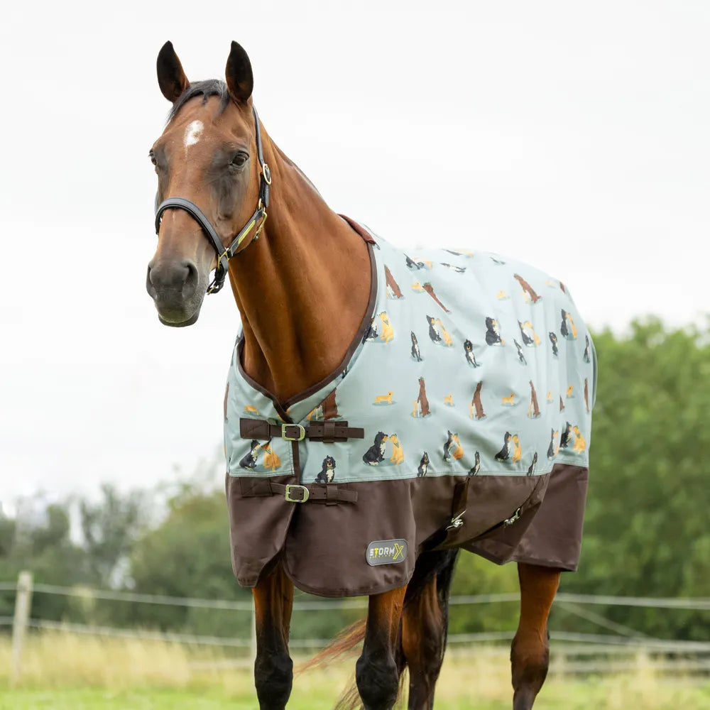 StormX original It's a dogs life turnout rug