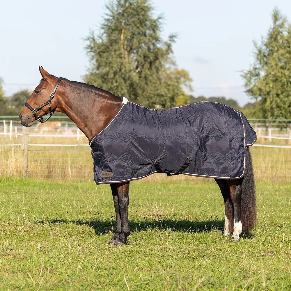 Storm X original luxury show rug