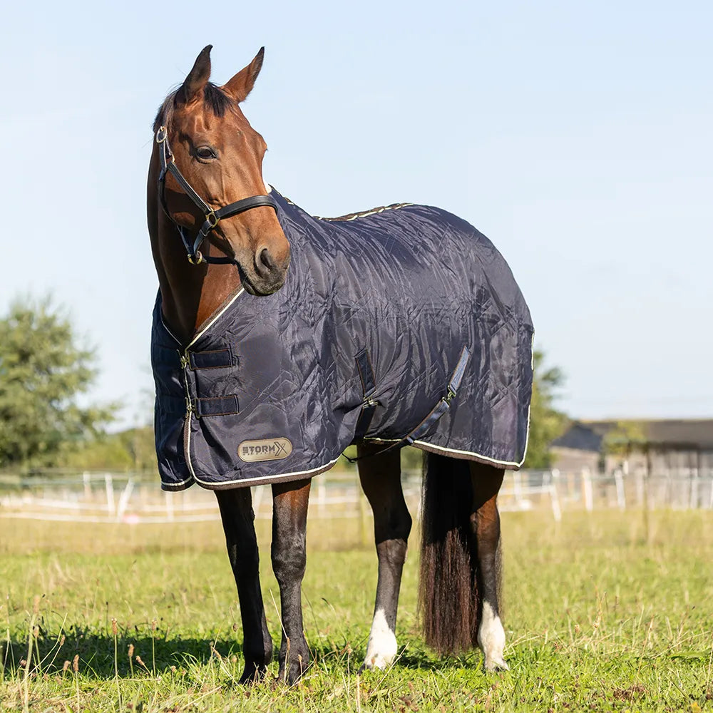 Storm X original luxury show rug