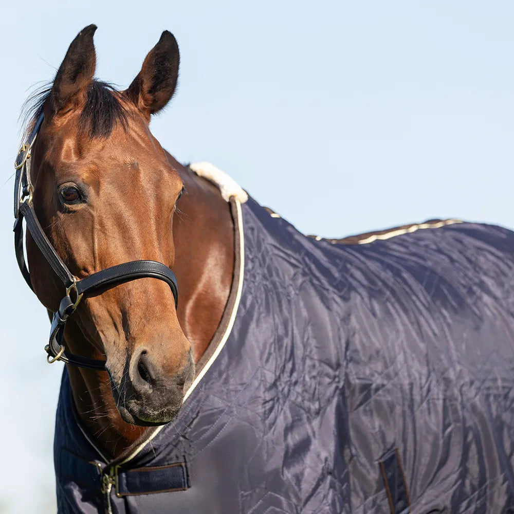 Storm X original luxury show rug