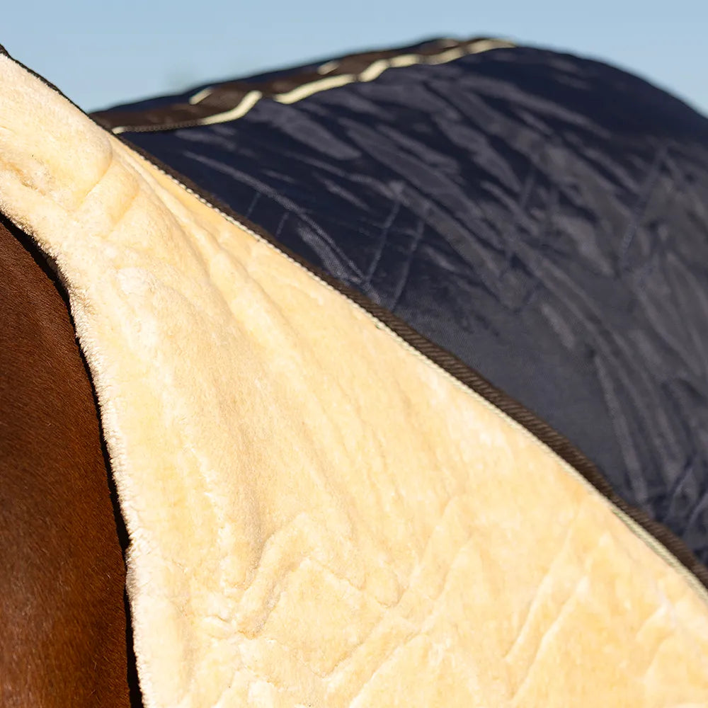 Storm X original luxury show rug
