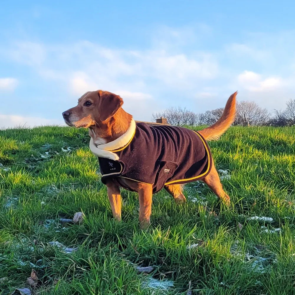 Supreme Products royal occasion fleece dog coat