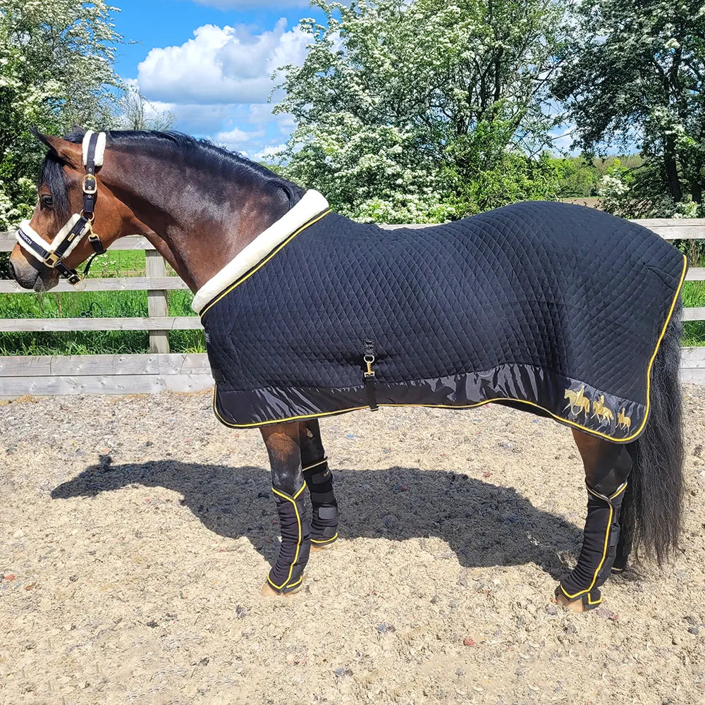 Supreme Products Royal Occasion rug with faux sheepskin collar on horse