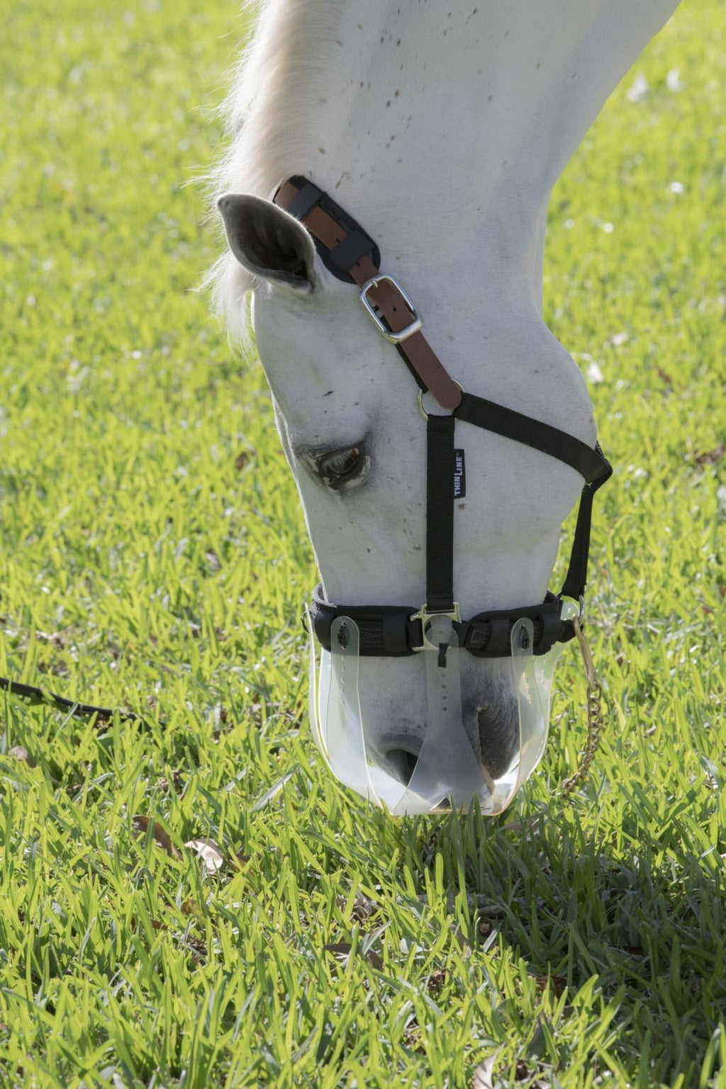 Thinline field safe headcollar and grazing muzzle bundle