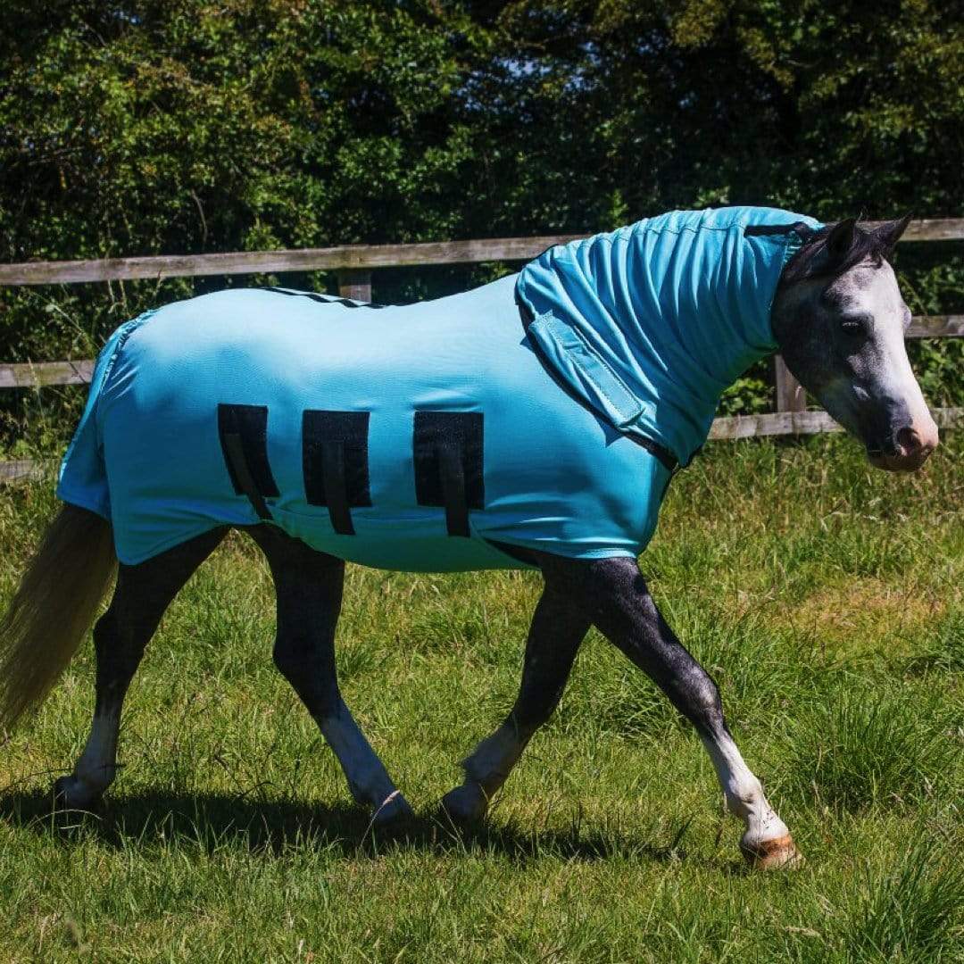 Bug body fly rug
