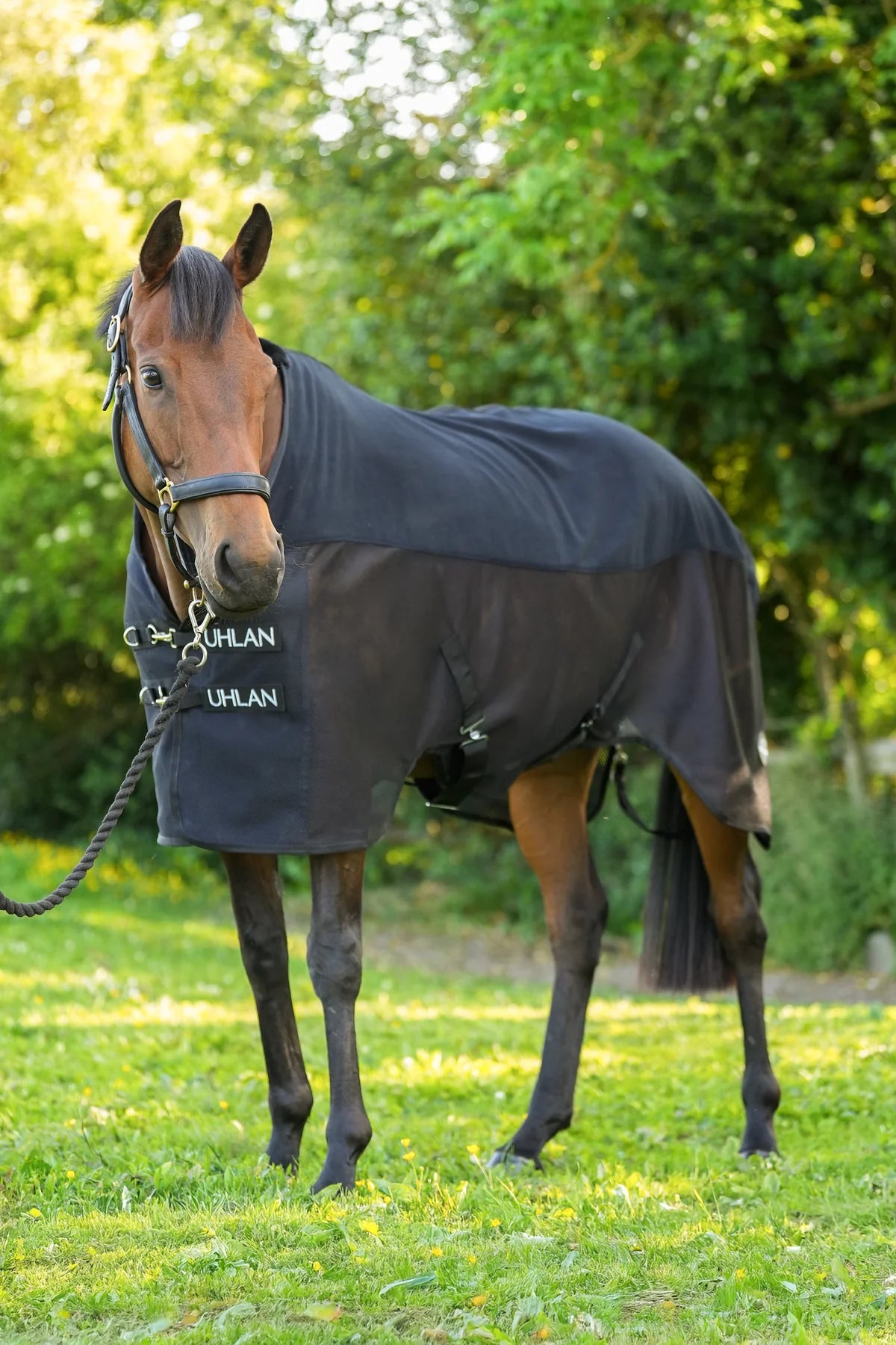 Black Uhlan combi mesh airflow cooler rug on horse showing fleece and mesh design