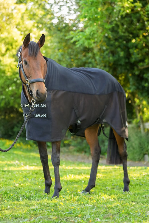 Black Uhlan combi mesh airflow cooler rug on horse showing fleece and mesh design