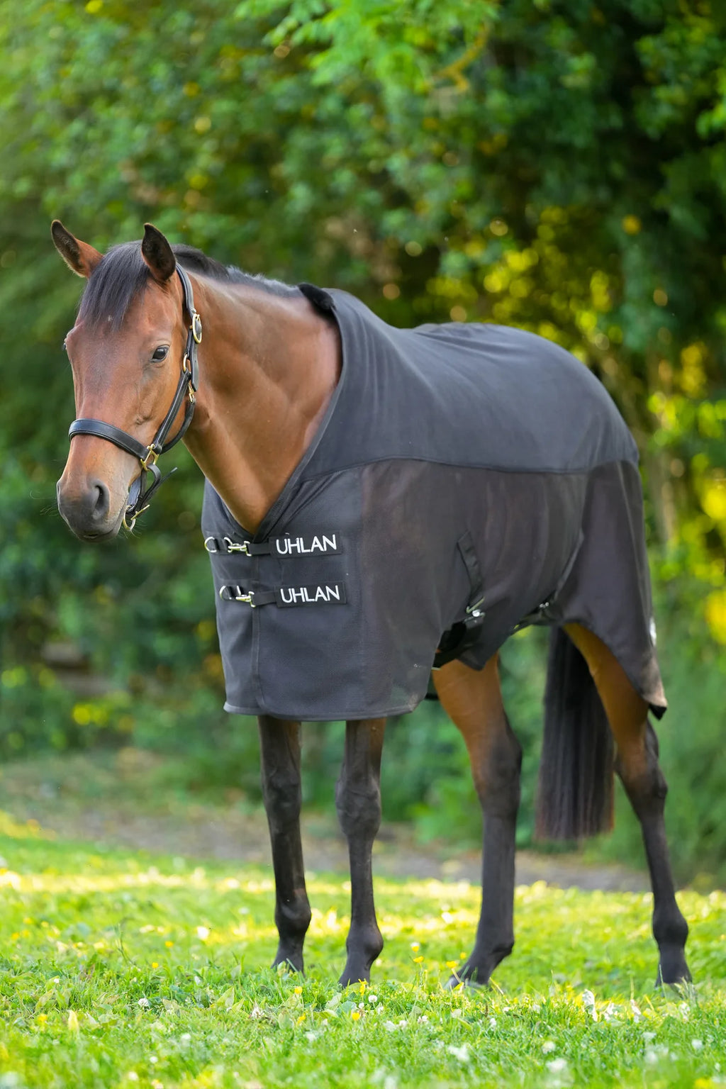  Uhlan Equestrian black cooler rug with faux sheepskin wither detail full view 