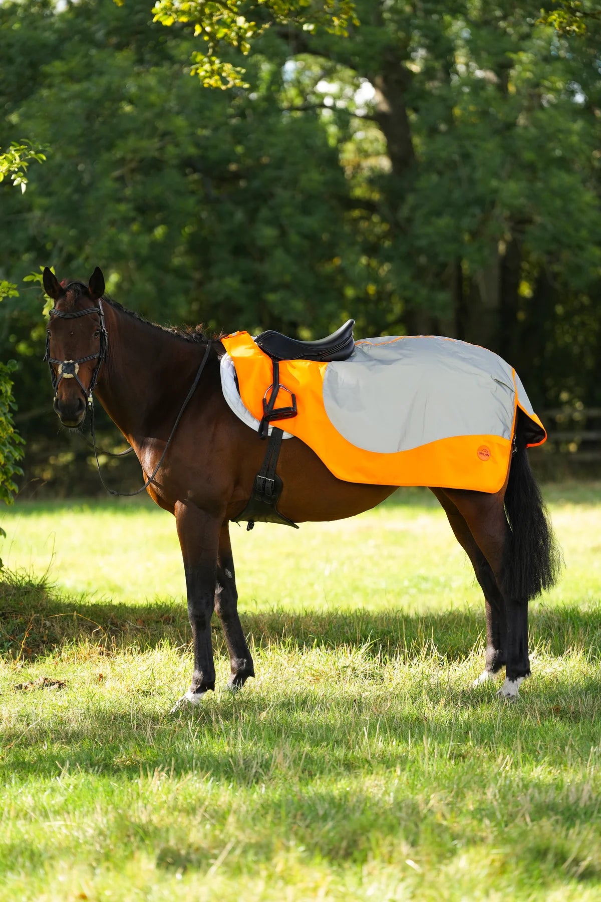 Orange hi viz reflected waterproof exercise sheet rug (Copy)